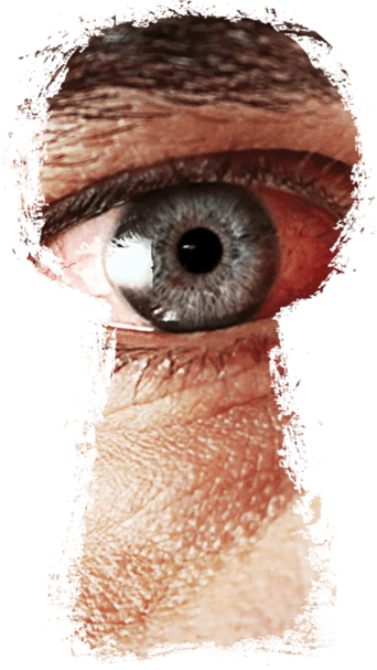 Escape Room in Charleston - The Best Escape Room Experience in Mount Pleasant, South Carolina|Upnestmate Escape