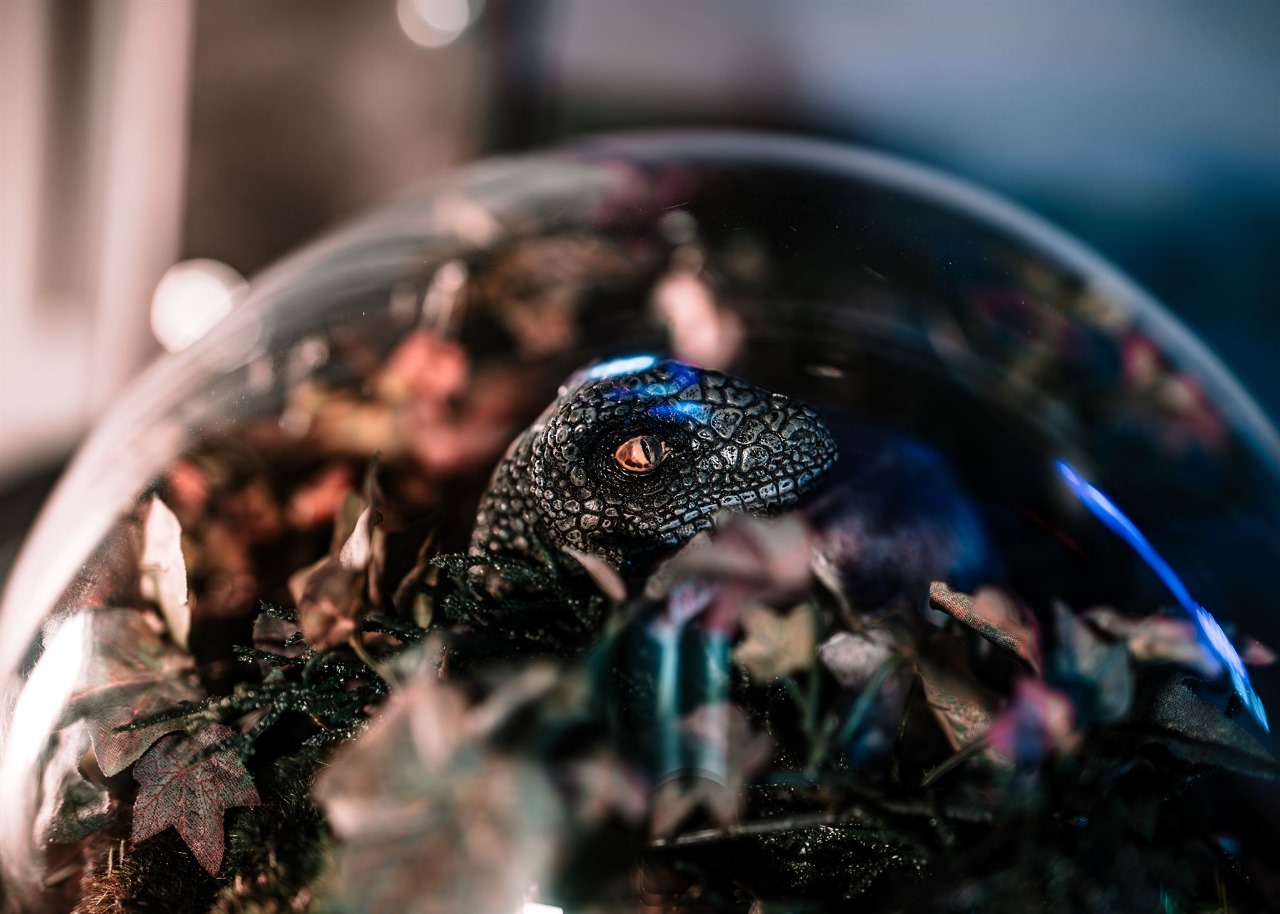 Escape Room in Charleston - The Best Escape Room Experience in Mount Pleasant, South Carolina|Upnestmate Escape